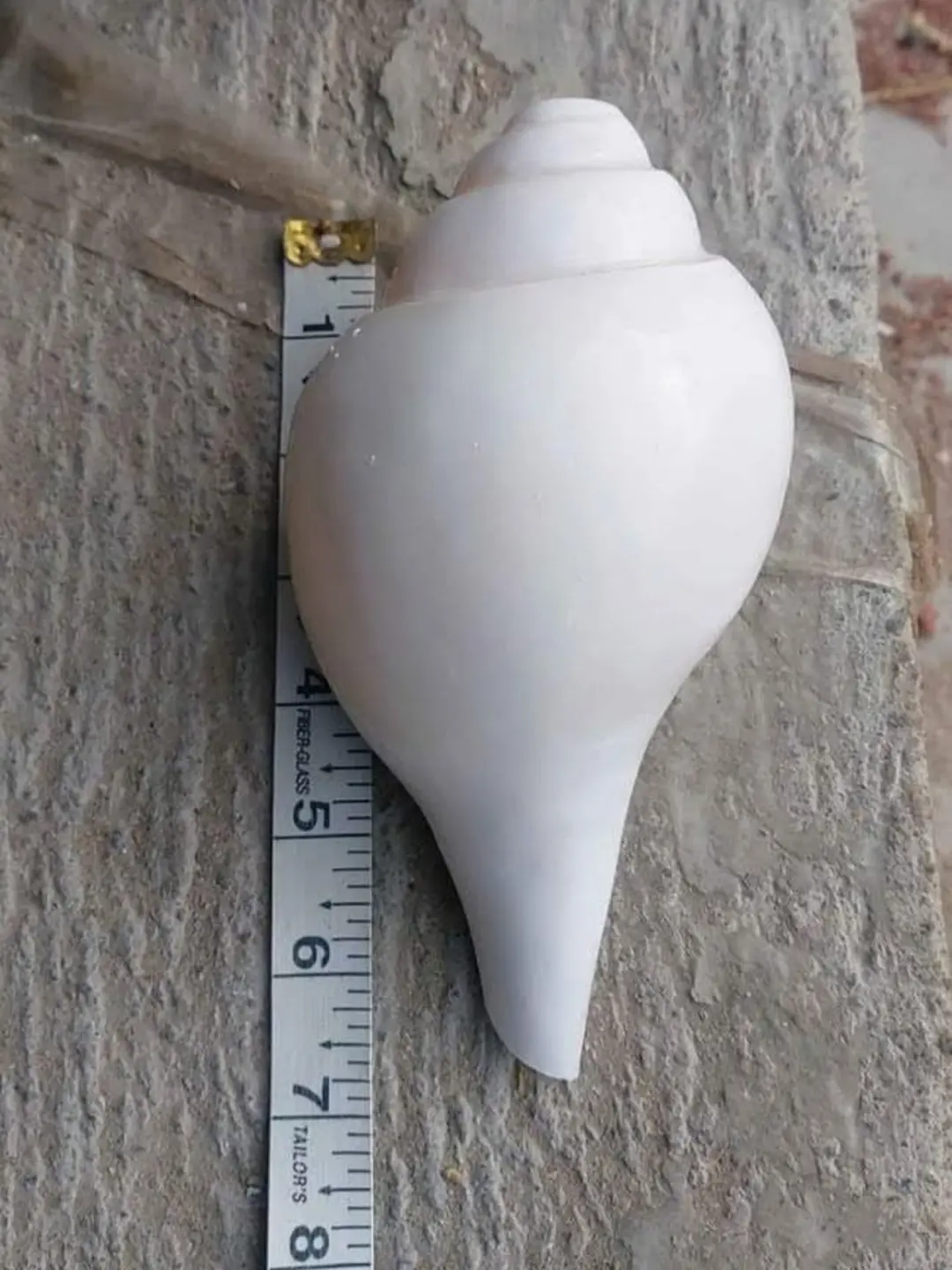 Herbal-medicine-and-remedies-shop-in-Tirupathur