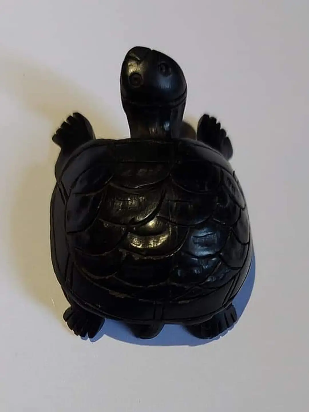 Herbal-medicine-and-remedies-shop-in-Tirupathur